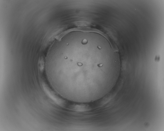 X0000114220069200910091357