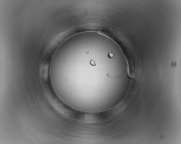 X0000114220070200910091357