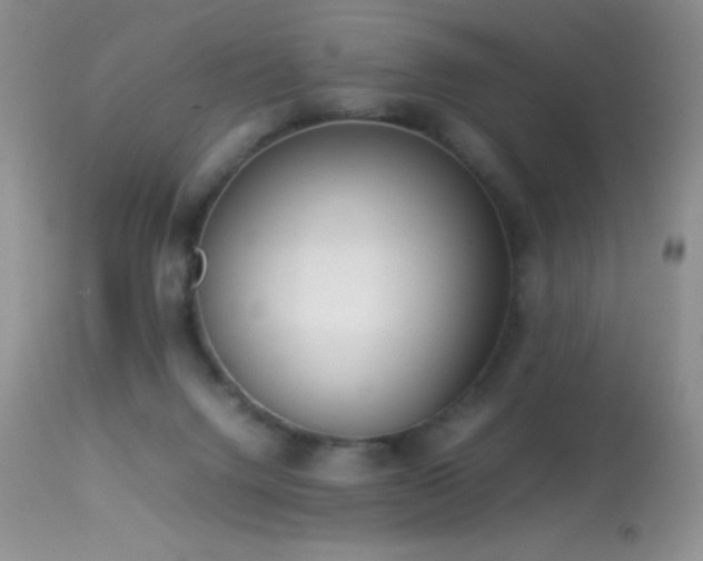 X0000114220072200910091357