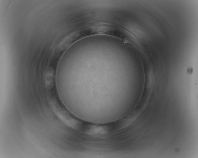 X0000114220073200910091357