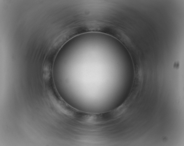 X0000114220074200910091357