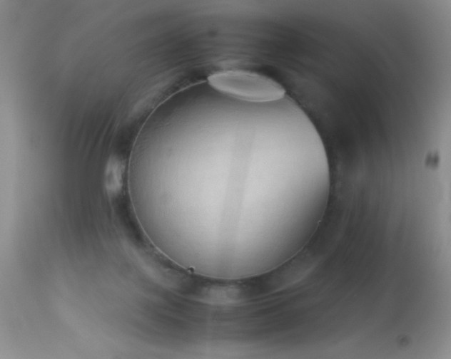 X0000114220075200910091357