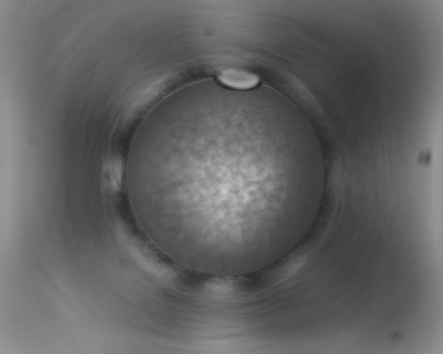 X0000114220076200910091357