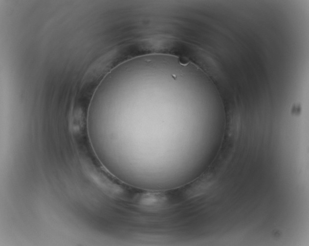 X0000114220077200910091357