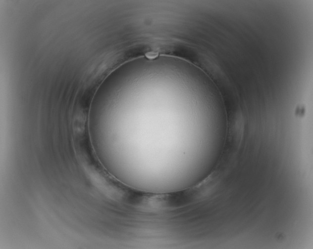 X0000114220078200910091357