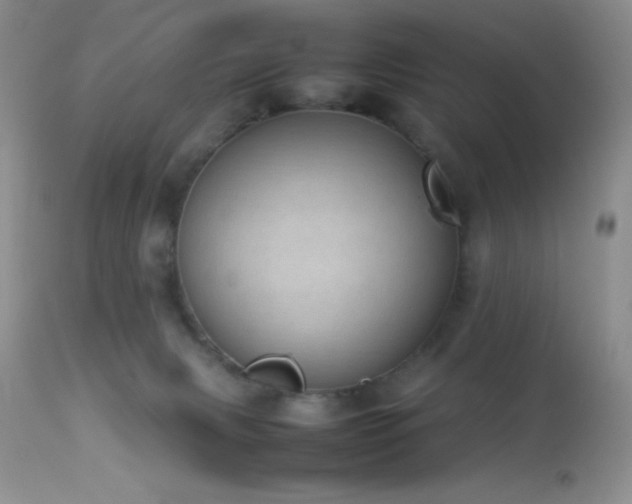 X0000114220079200910091357