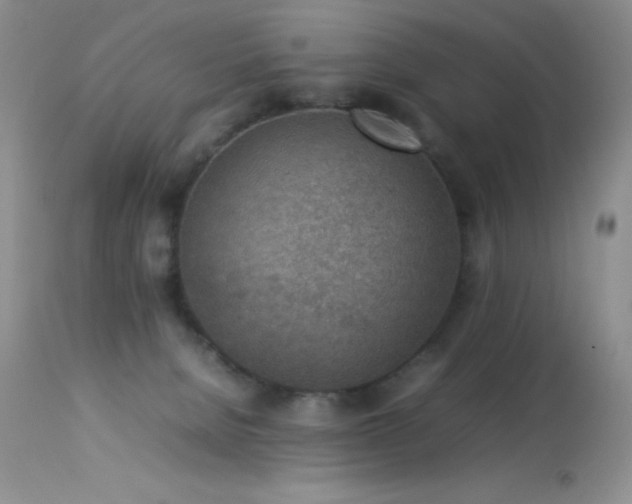 X0000114220080200910091357