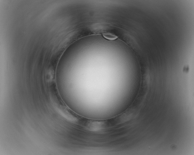 X0000114220081200910091357