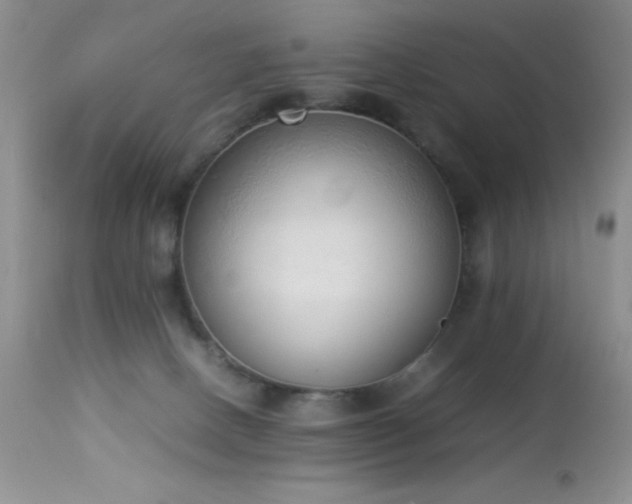 X0000114220082200910091357