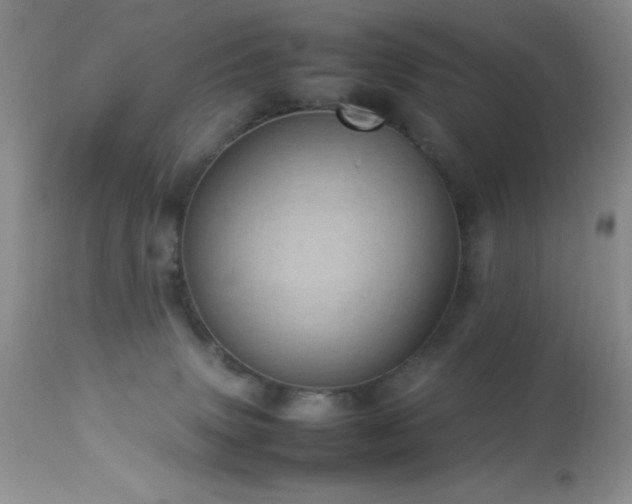 X0000114220083200910091357