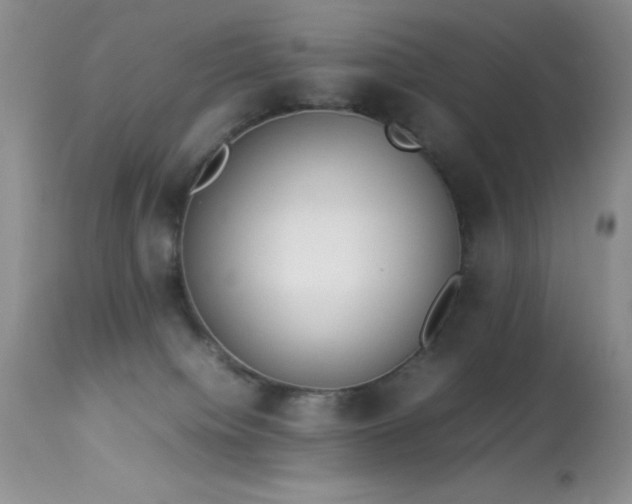 X0000114220084200910091357