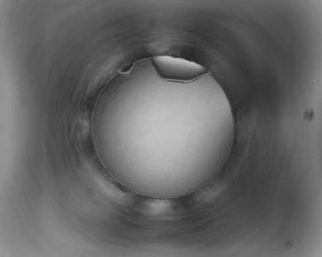 X0000114220085200910091357