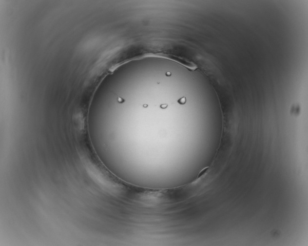 X0000114220086200910091357