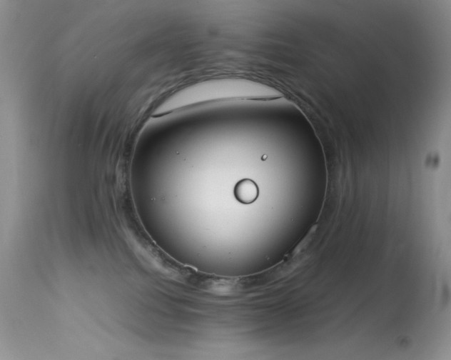 X0000114220088200910091357