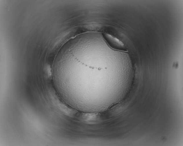 X0000114220089200910091357