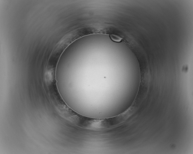 X0000114220090200910091357