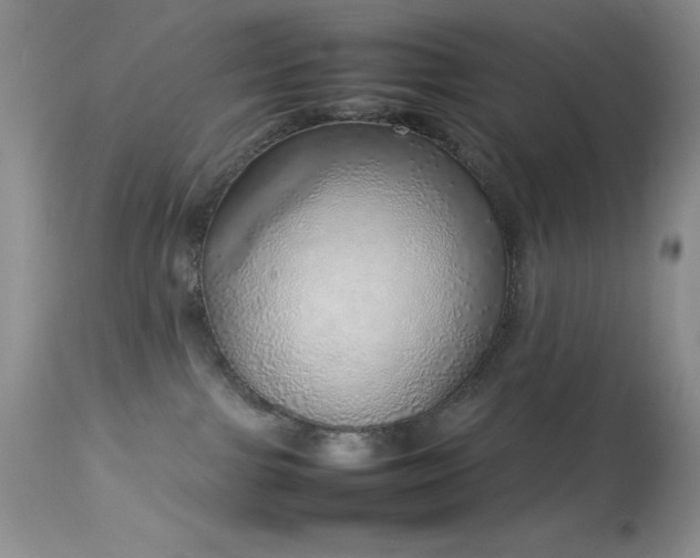 X0000114220091200910091357