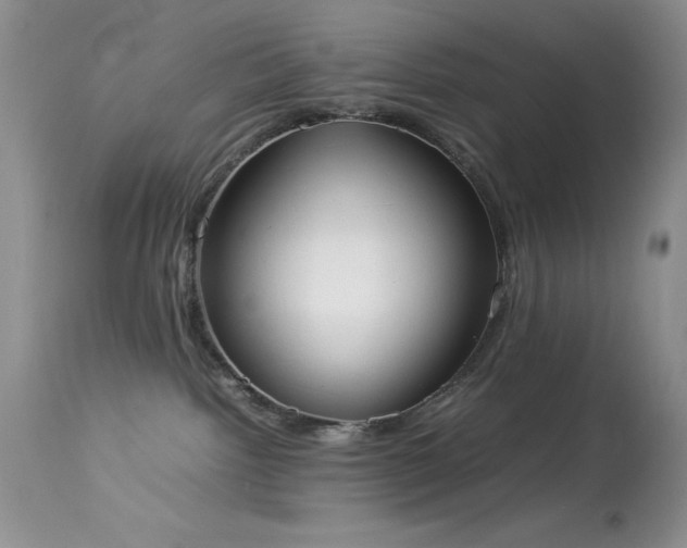 X0000114220092200910091357