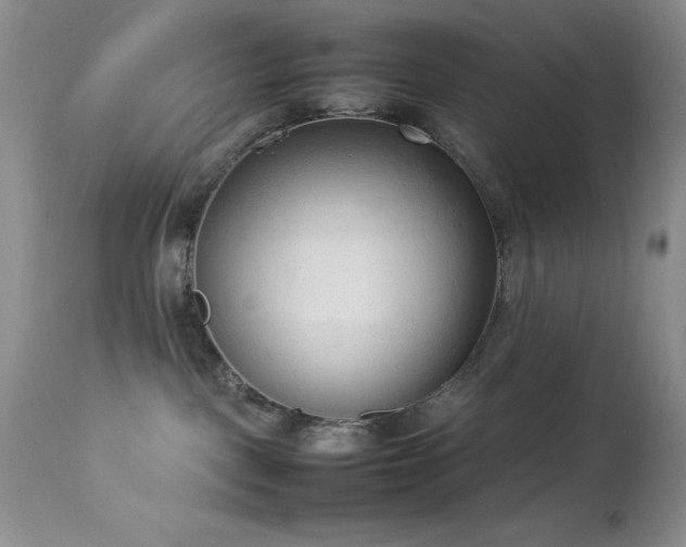 X0000114220093200910091357