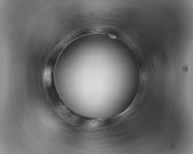 X0000114220094200910091357