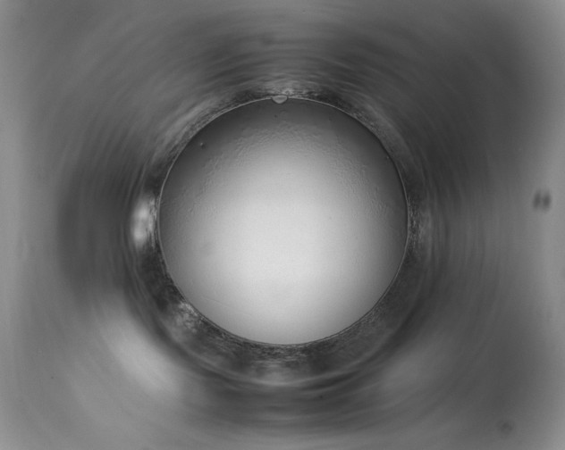 X0000114220095200910091357