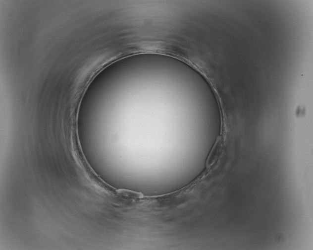 X0000114220097200910091357