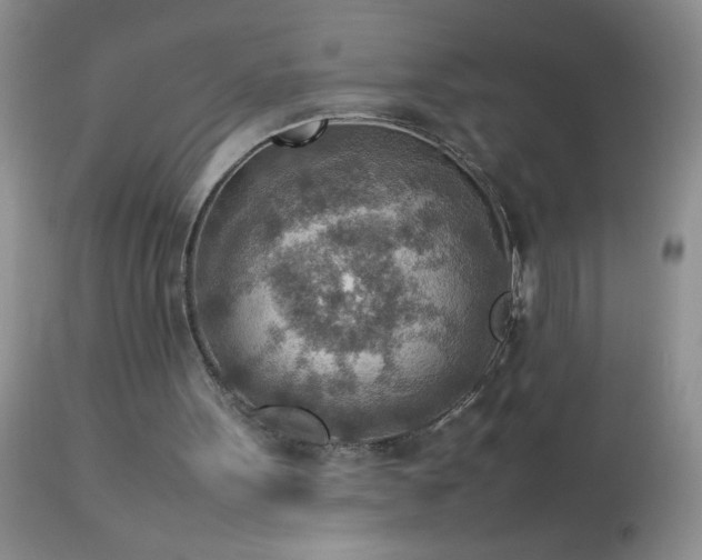 X0000114220099200910091357