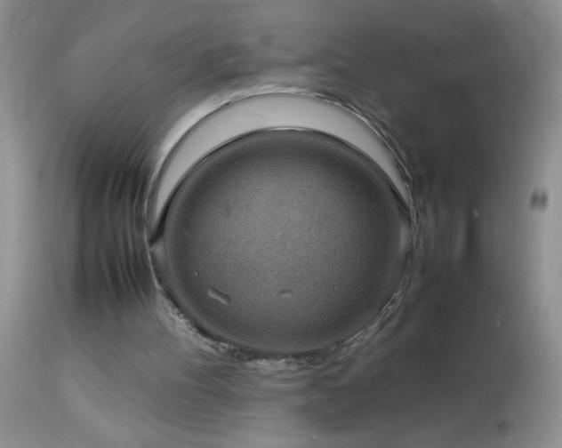 X0000114220100200910091357