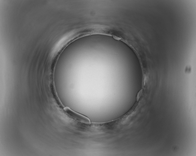 X0000114220101200910091357