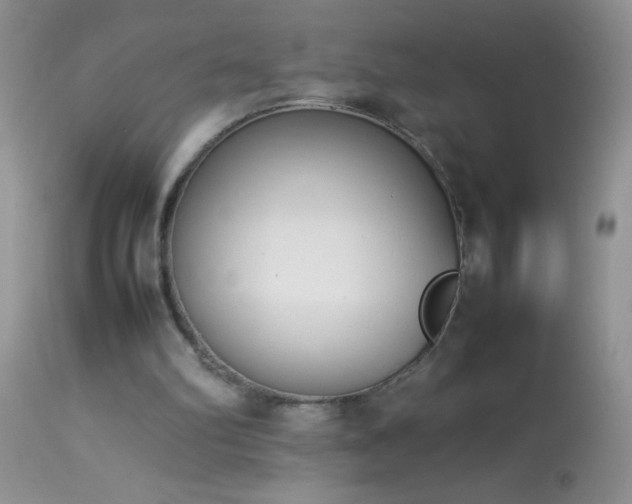 X0000114220102200910091357