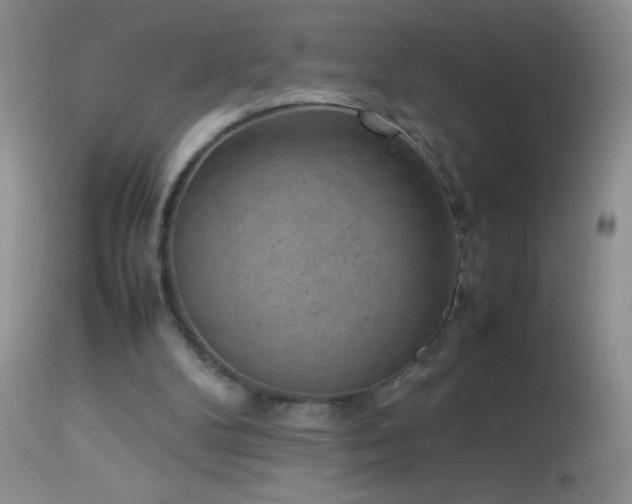 X0000114220104200910091357