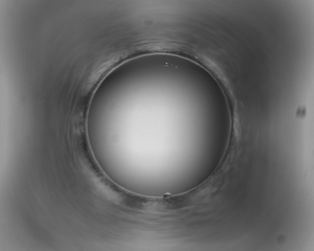 X0000114220105200910091357