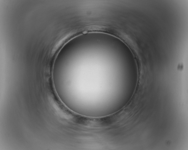 X0000114220107200910091357