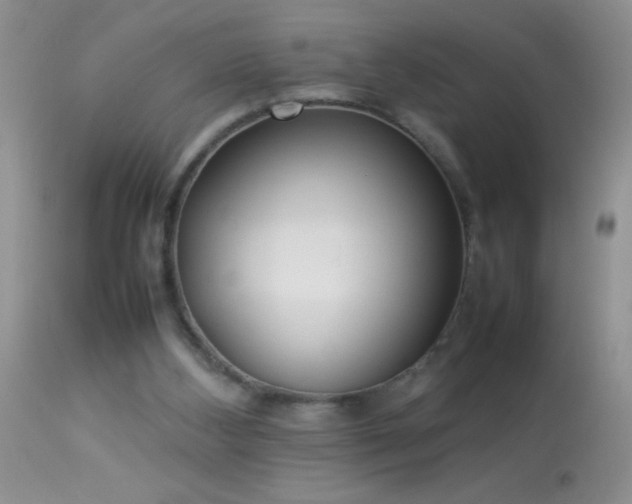 X0000114220108200910091356