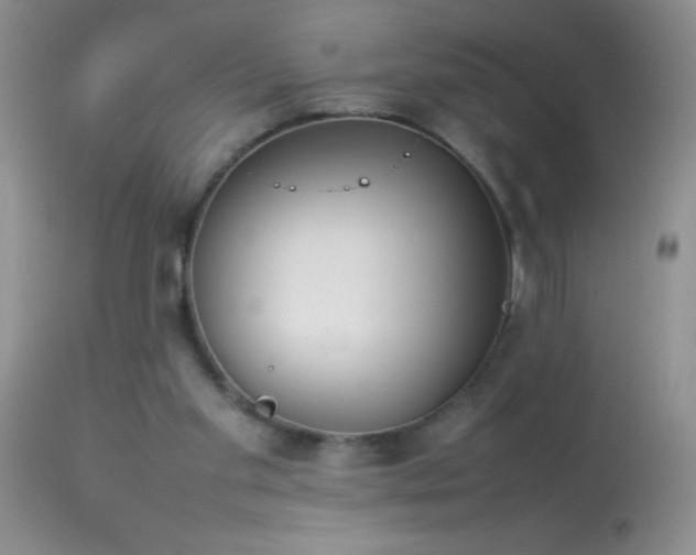 X0000114220109200910091356