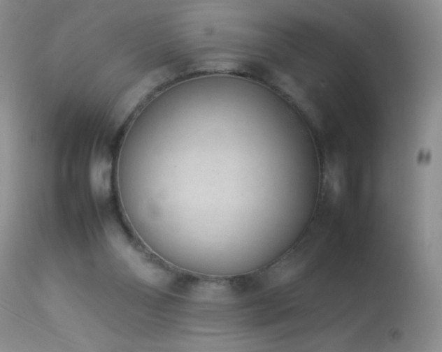 X0000114220110200910091356