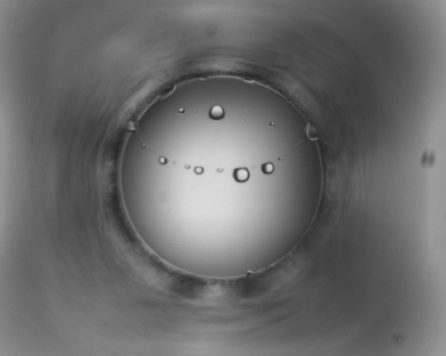 X0000114220111200910091356