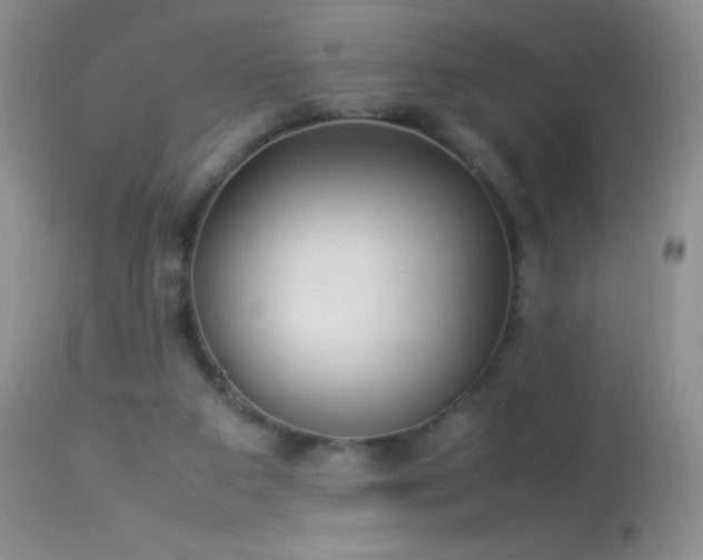 X0000114220113200910091356