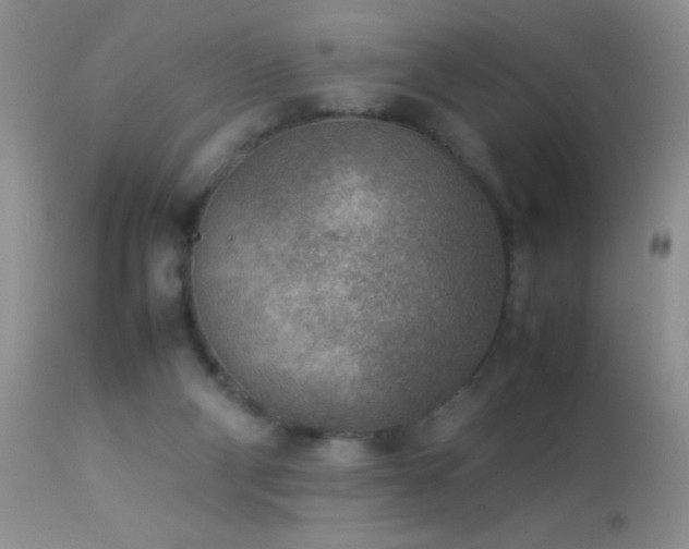 X0000114220114200910091356