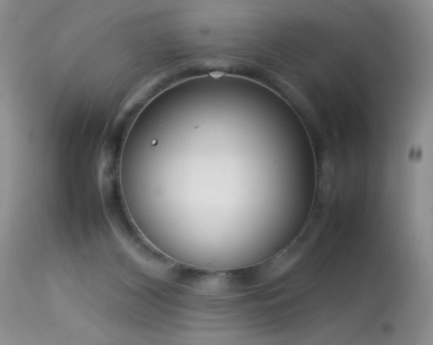 X0000114220116200910091356