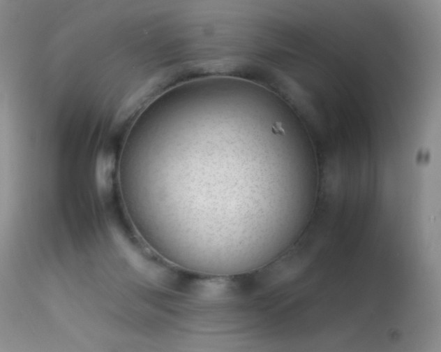 X0000114220118200910091356