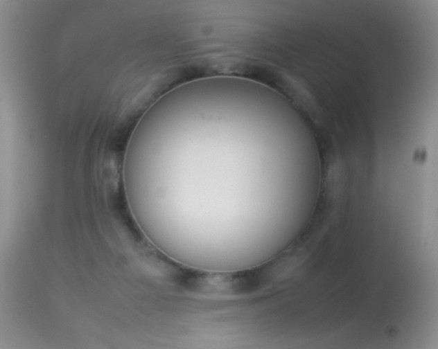 X0000114220121200910091356