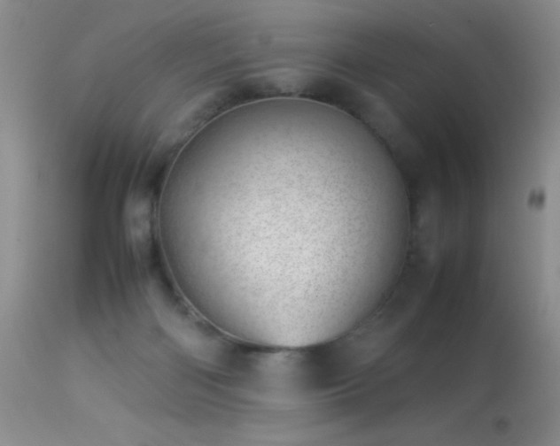 X0000114220122200910091356