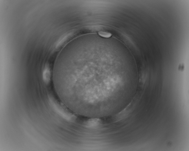 X0000114220124200910091356