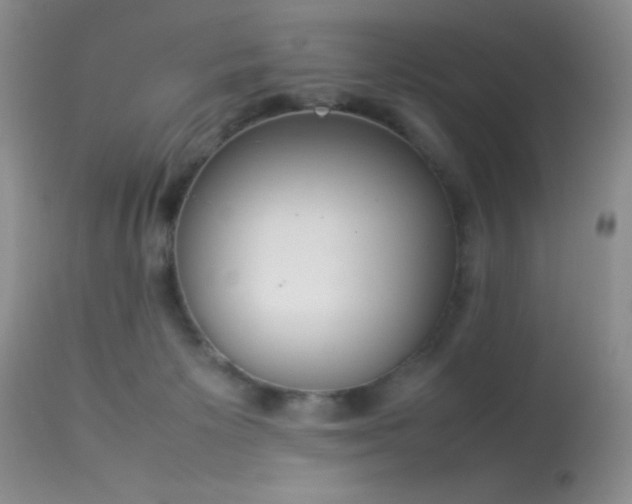 X0000114220125200910091356