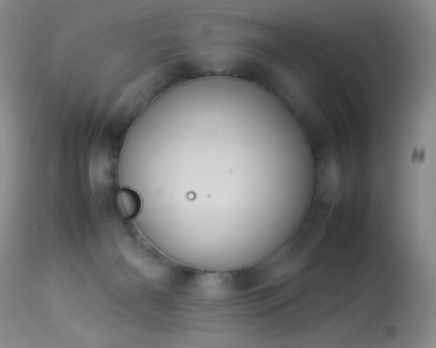 X0000114220126200910091356