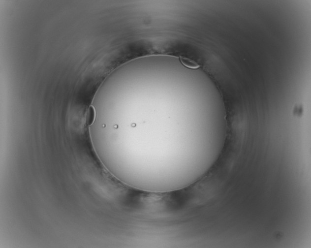 X0000114220129200910091356