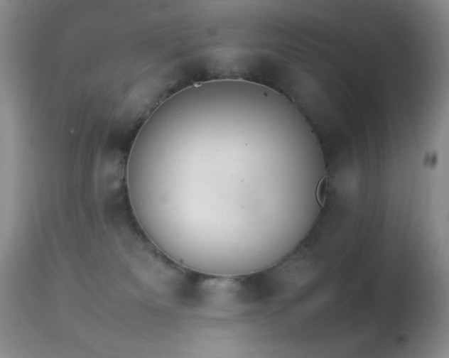 X0000114220133200910091356