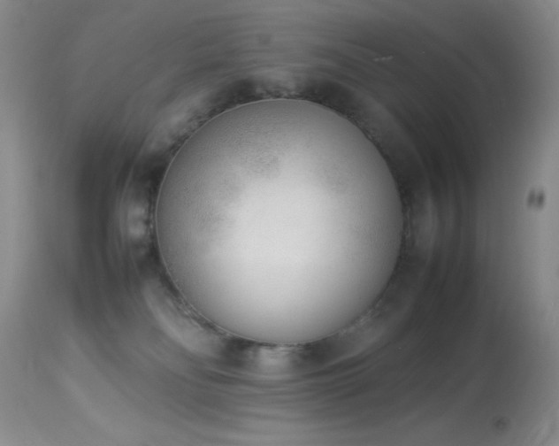 X0000114220134200910091356