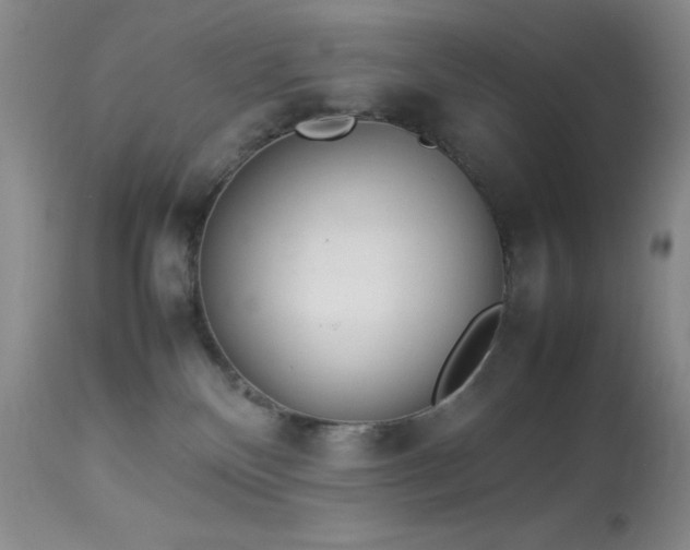 X0000114220136200910091356